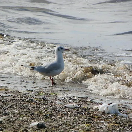 Сasa de vacaciones Arielle *